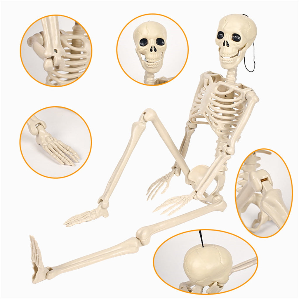 Posable Plastic Human Skeleton Prop 5.4FT Full Body Halloween Skeleton Decor with Movable Joints for Haunted House Yard Party Decoration