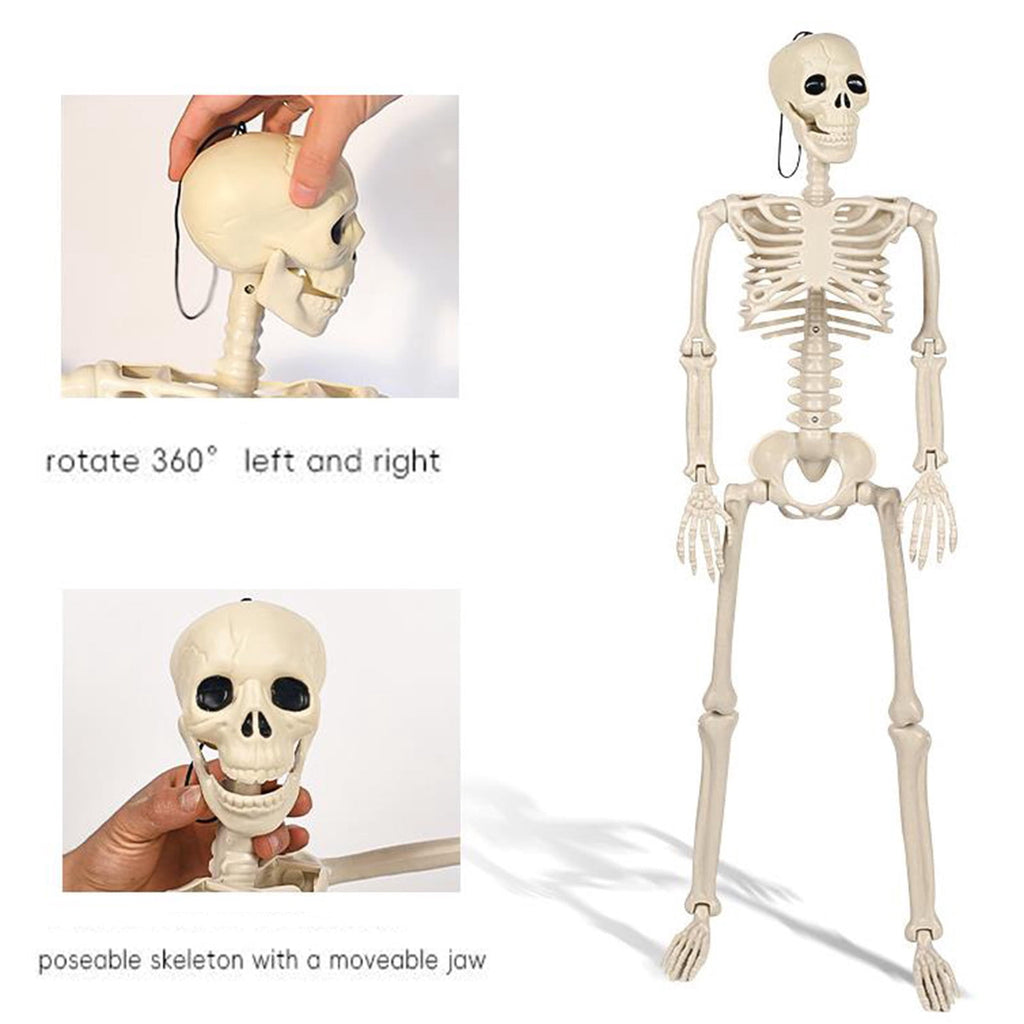 Posable Plastic Human Skeleton Prop 5.4FT Full Body Halloween Skeleton Decor with Movable Joints for Haunted House Yard Party Decoration