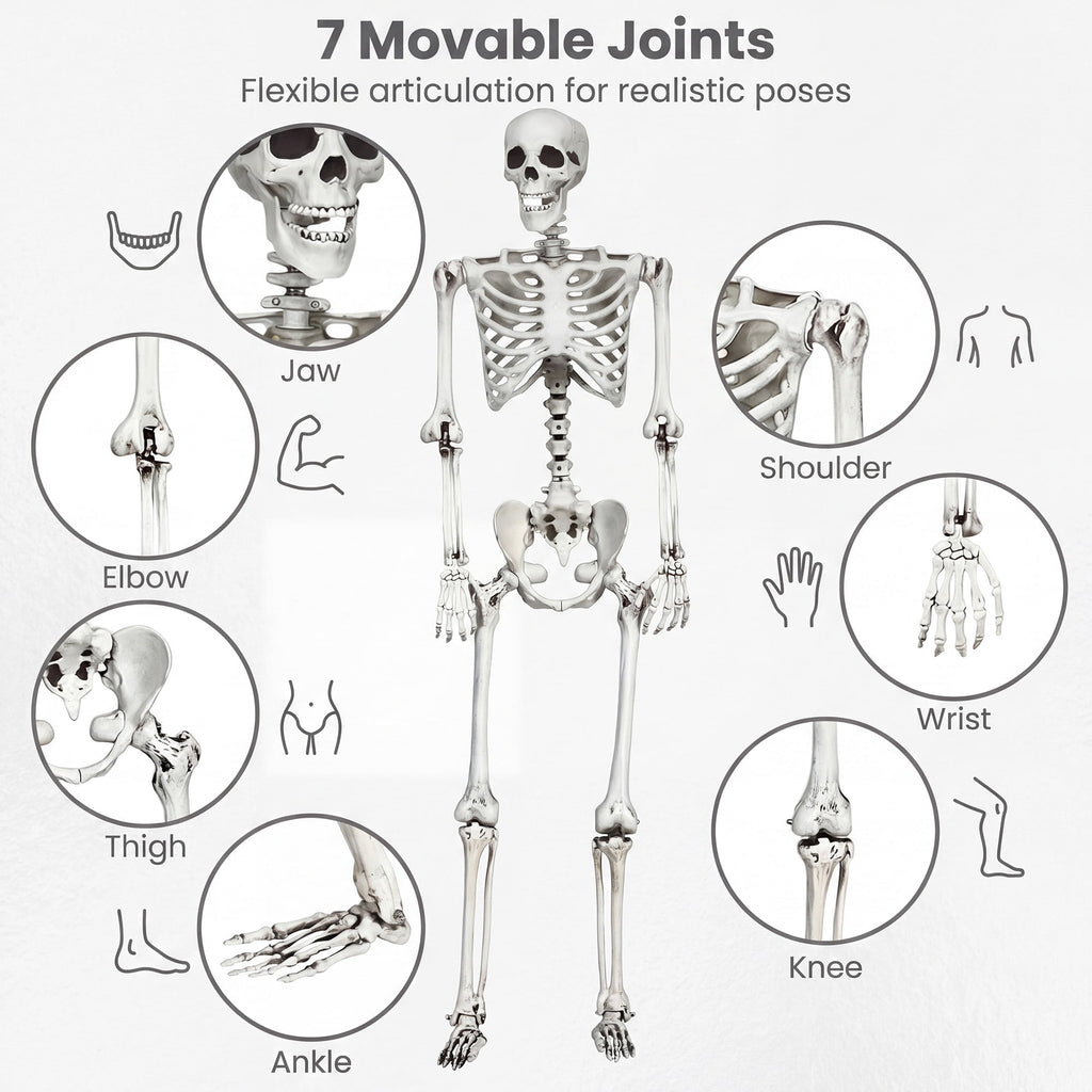 5.4ft Halloween Christmas Skeleton Life Size Realistic Full Body Hanging with Movable Joints 63 Inches