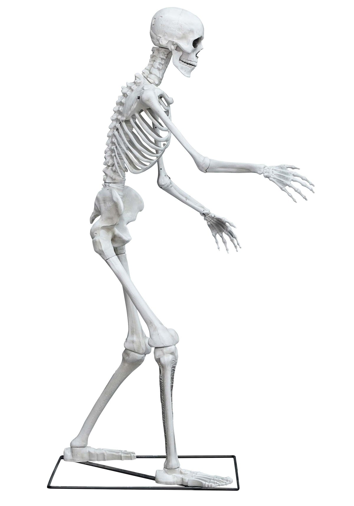 5FT Animated Skeleton Decoration