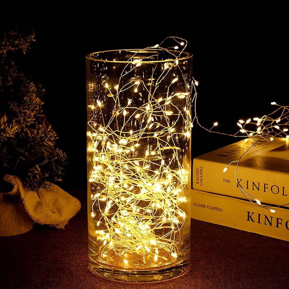 Outdoor String Lights with Remote,100M 3000LED Plug-in Powered Waterproof Fairy Lights, Copper Wire Christmas String Lights for Wedding, Party