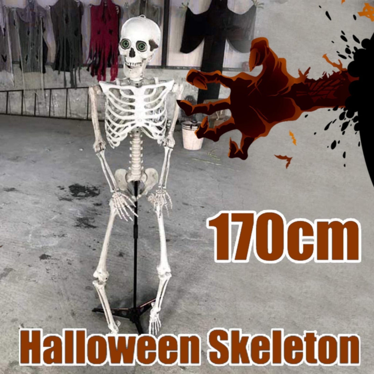 Life Size Posable Skeleton Decoration 66.9 Inch, Realistic Full Body Human Bones with Movable Joints, Plastic Halloween Skeleton Prop for Haunted House Indoor Outdoor, Decorations and Favors