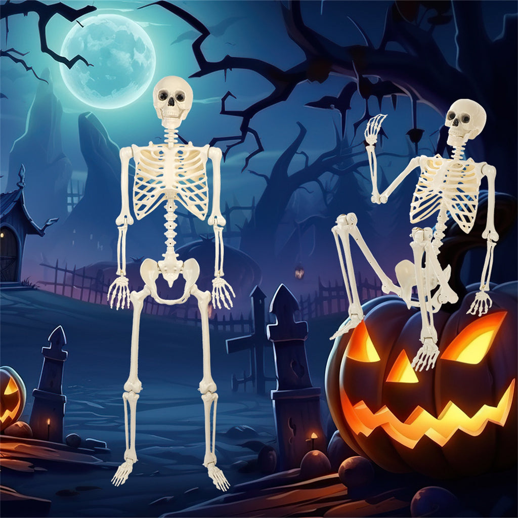 Halloween Spooky Skeleton 5.4ft Realistic Skeleton with Posable and Movable Joints Halloween Mood Enhancer, Decor for Halloween Outdoor/Indoor Decoration