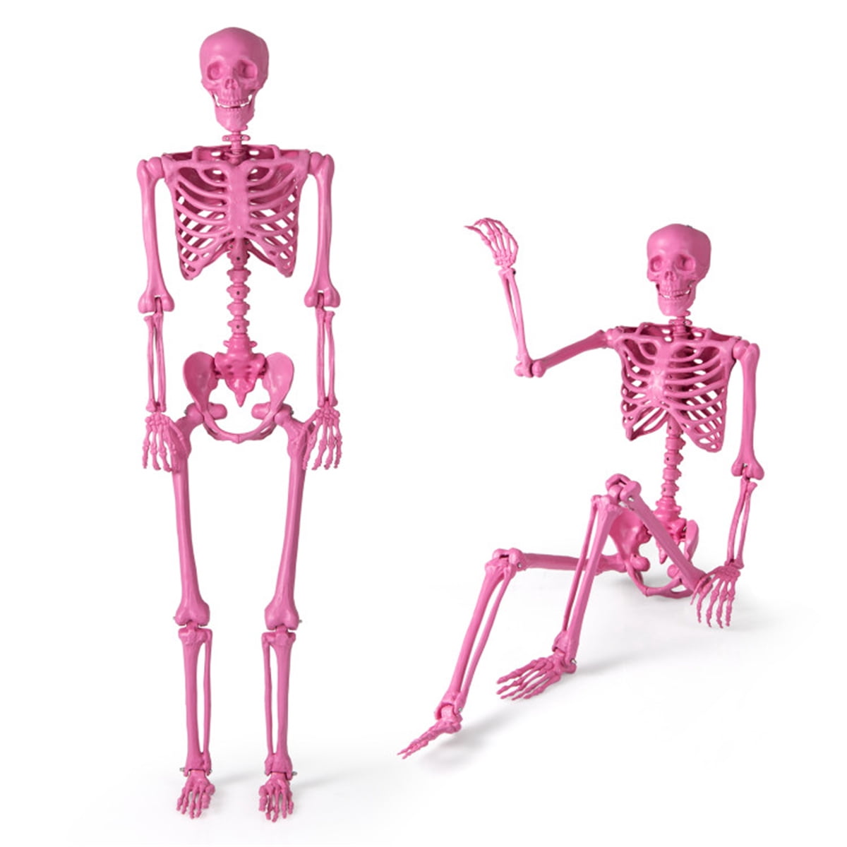 5.5 FT Pink Halloween Skeleton Outdoor Decor, No Assembly Needed