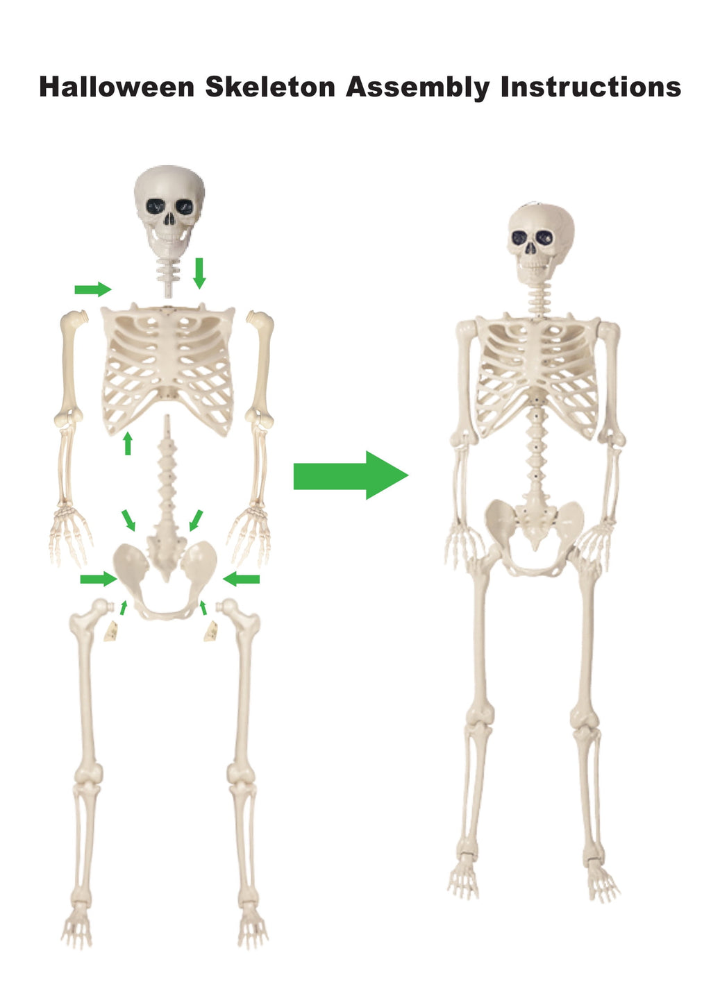 THE BRIVE 5.4ft Life Size Poseable Halloween Skeleton, Movable Joint Plastic Prop for Yard Porch Party Decor
