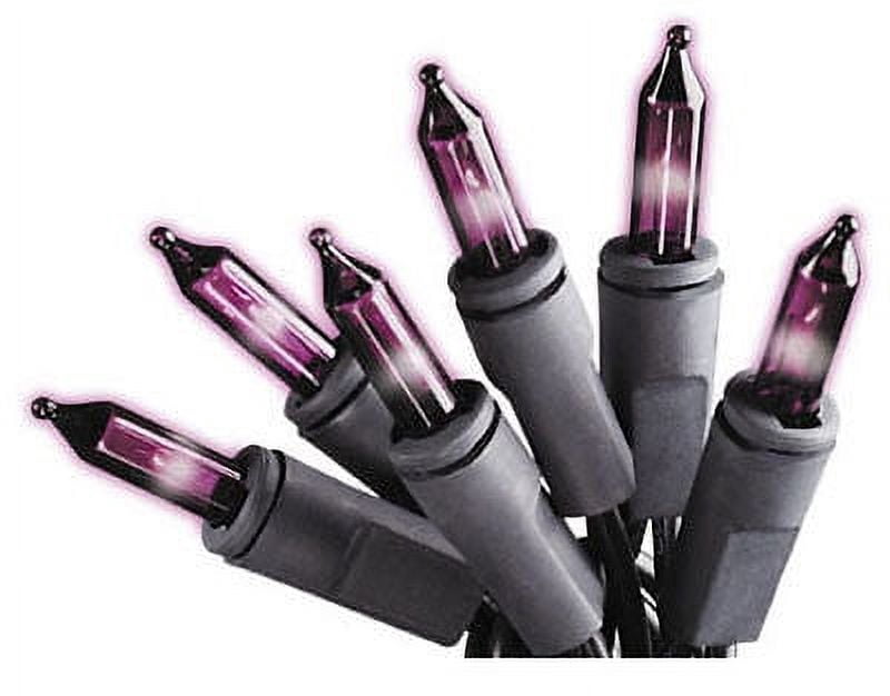Sylvania V34708-88 100-Count Mini Light Halloween Set Purple Bulbs & Black Wire - Quantity of 24