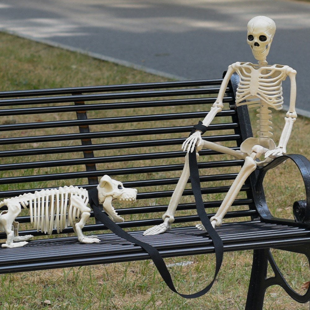 Slccxzc Halloween Skeleton Decoration Full Body Movable Joints with Dog Skeleton