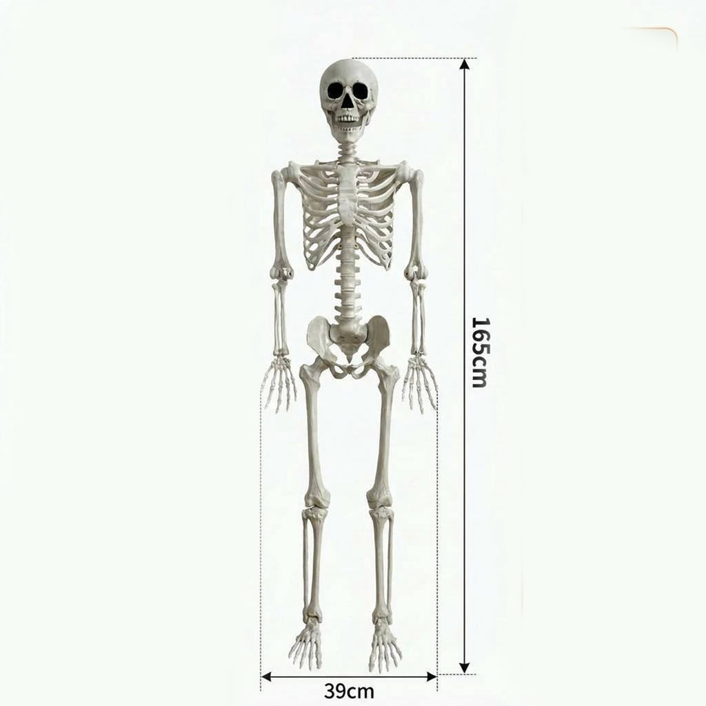 Halloween Simulation Skeleton Decoration Realistic Skeleton Prop for Halloween Party House Yard Indoor Outdoor Horror Scene Display