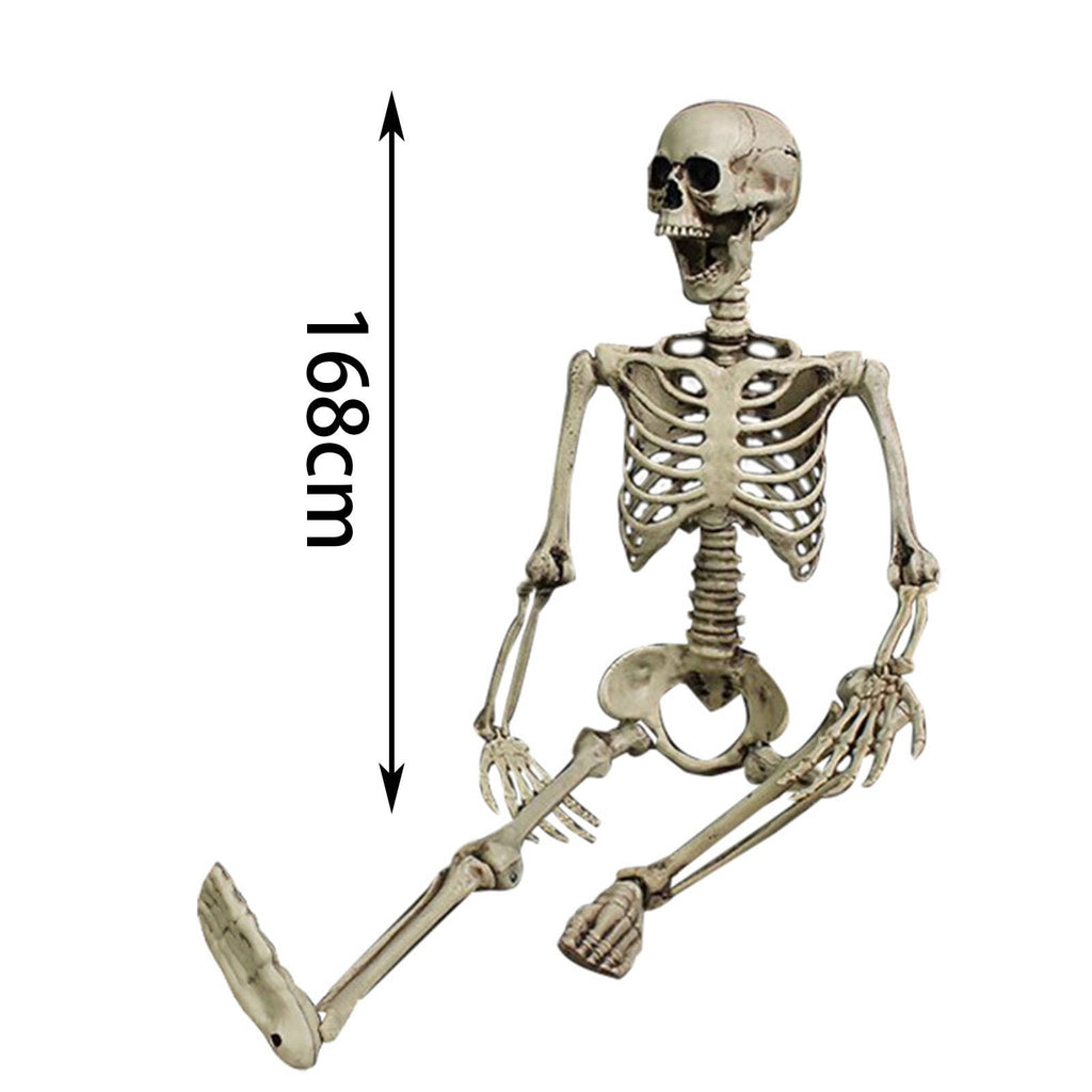 MInHoues Halloween Human Skeleton Decoration, Poseable Full Body Skeleton Prop for Haunted House, Realistic Bone Decor for Party Yard Scene, Durable Plastic Life-Size Spooky Figurine