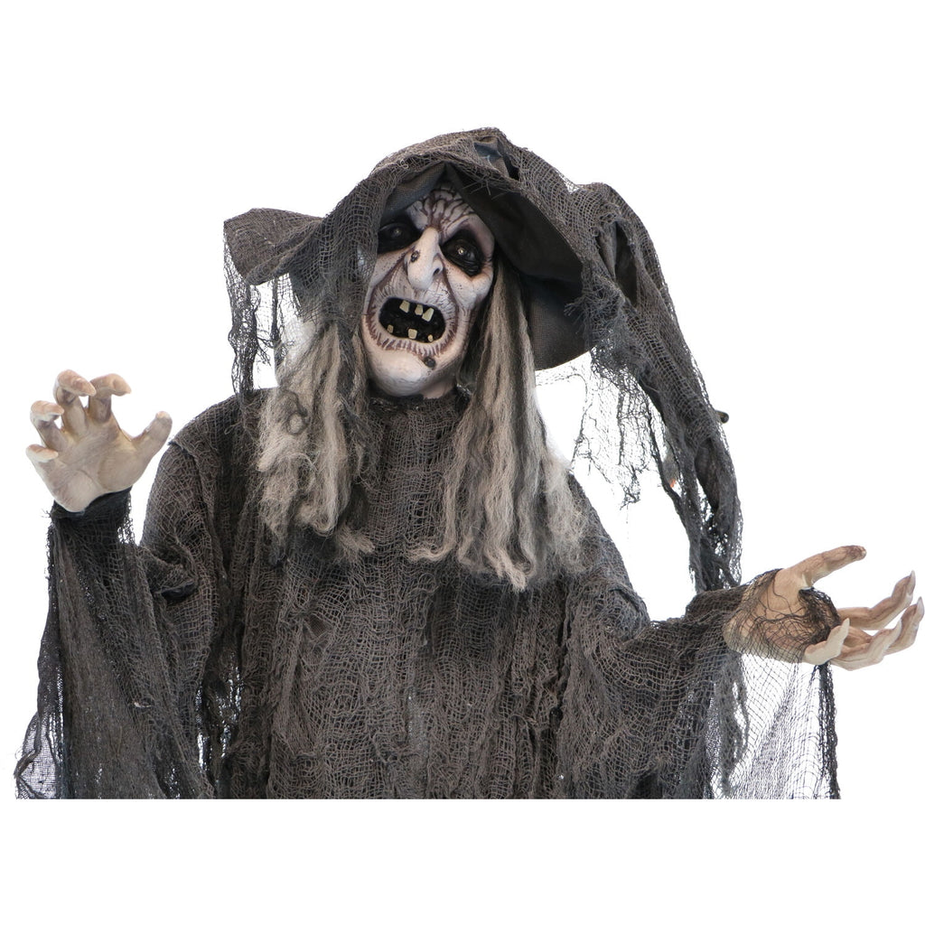 Haunted Hill Farm 5.75 ft Animatronic Witch Indoor/Covered Outdoor Halloween Decoration, HHWITCH-20FLSA