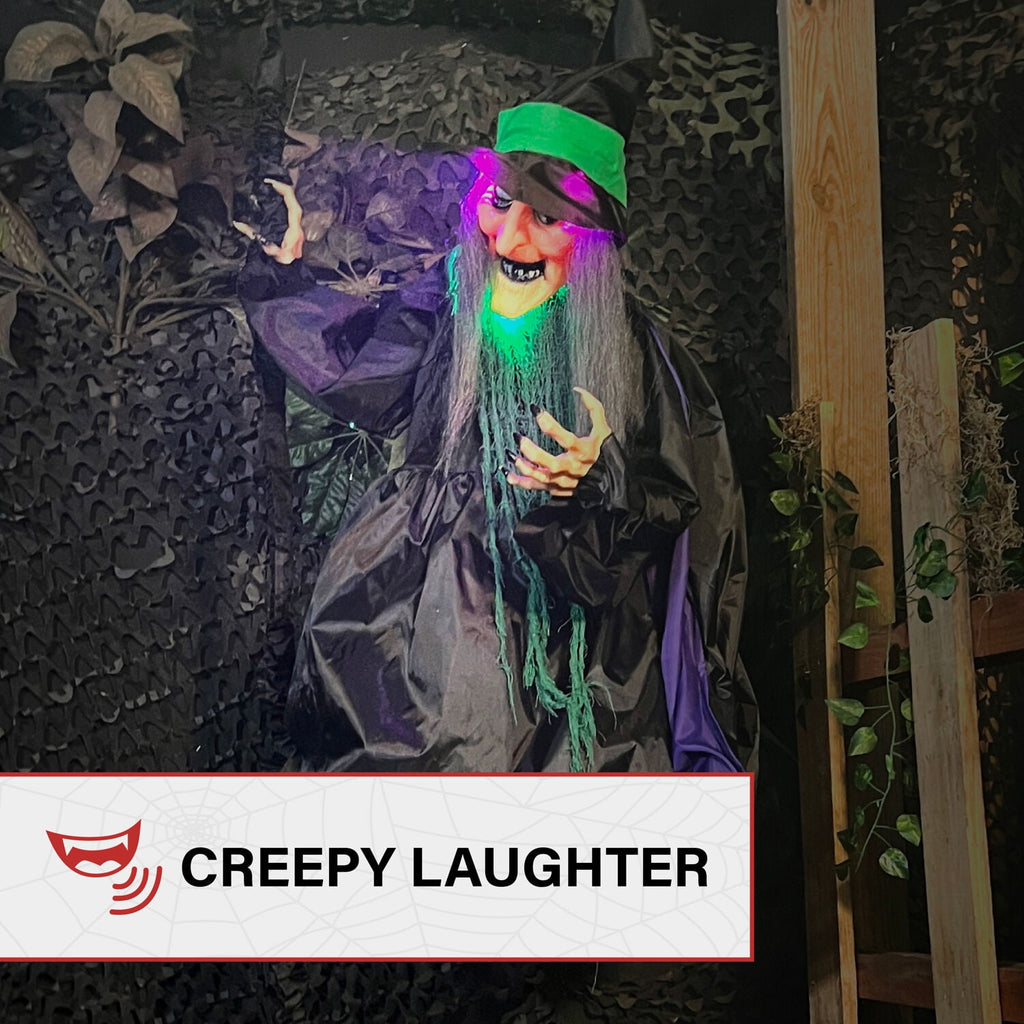 Haunted Hill Farm 6.0-Ft. Touch-Activated Mounted Flying Witch Halloween Animatronic