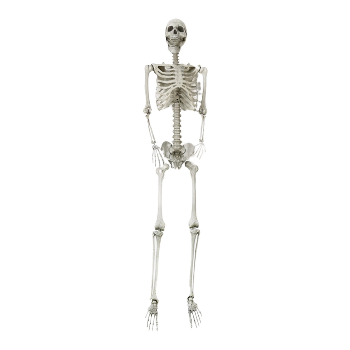 HOZVOMI Halloween Skeleton Decorations Outdoor – Posable Full-Body Hanging Skeleton with Movable Joints for Graveyard, Yard, Party, and Spooky Home Decor