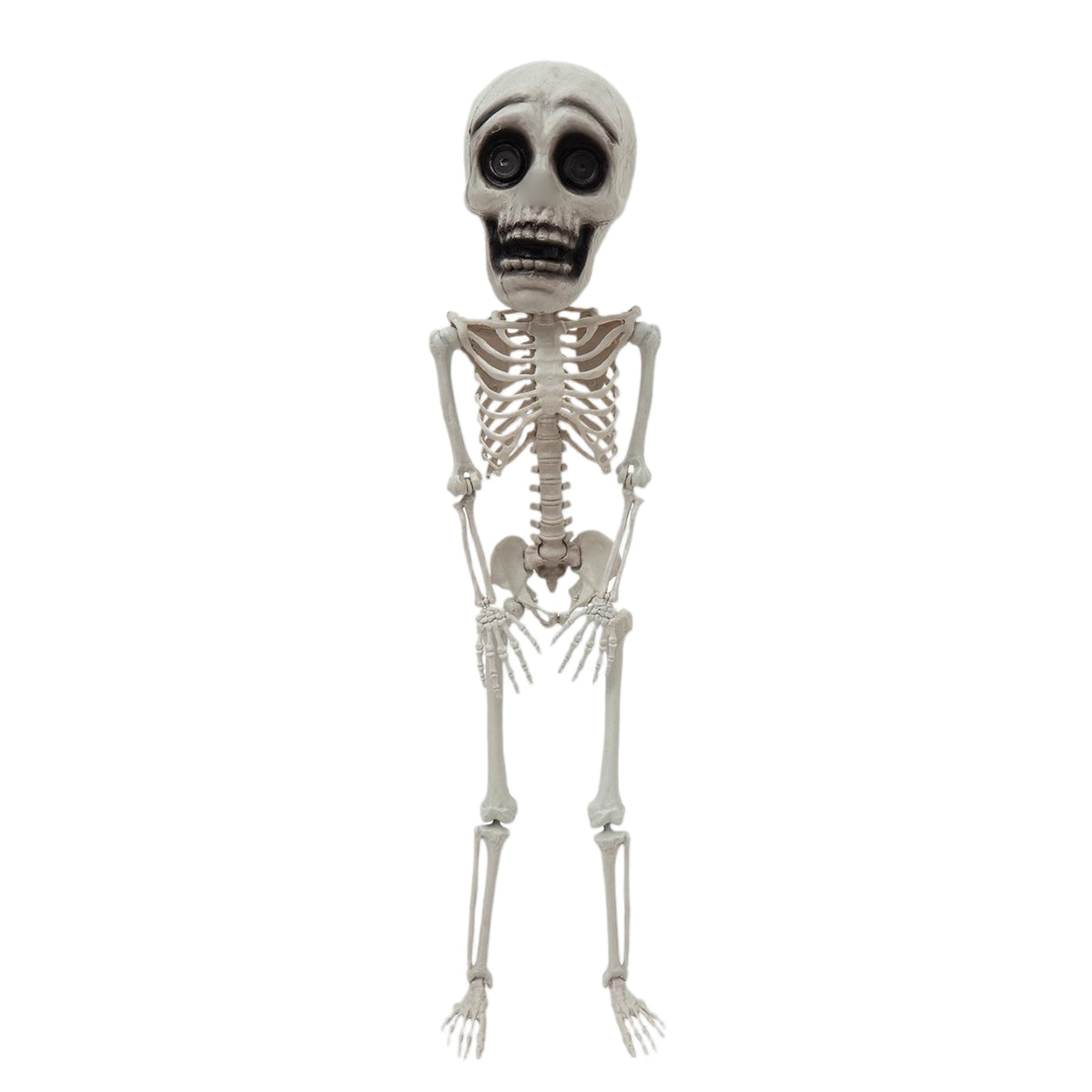 Halloween Full Body Plastic Skeleton Figurine 105cm, Posable Joints Skull Statue with Big Eyes for Spooky Graveyard Haunted House Decor, Halloween Party Prop