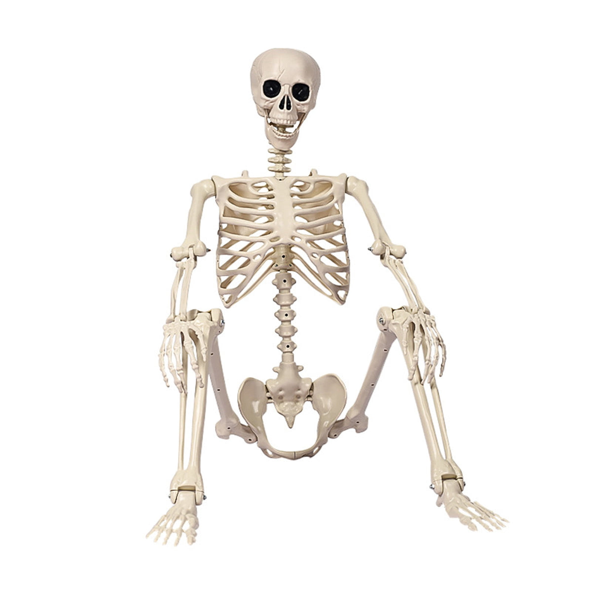 Posable Plastic Human Skeleton Prop 5.4FT Full Body Halloween Skeleton Decor with Movable Joints for Haunted House Yard Party Decoration