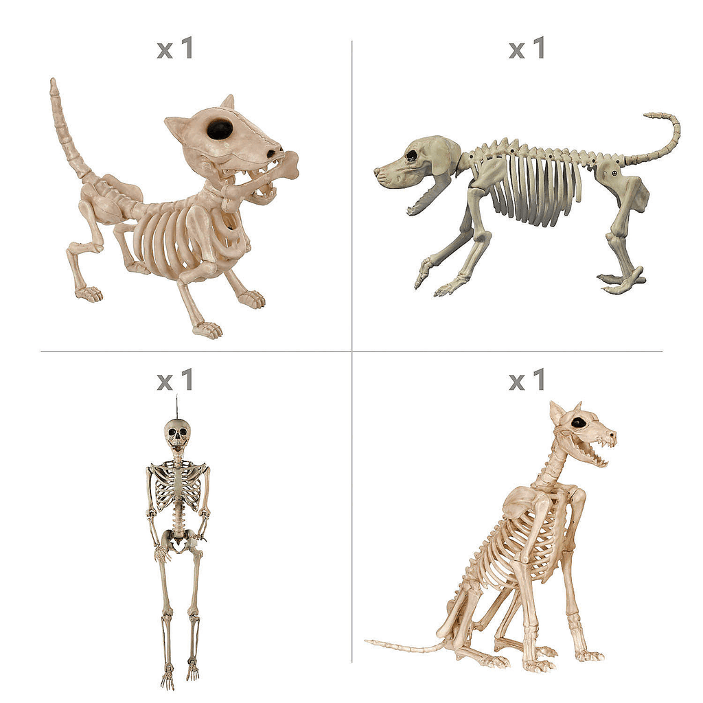 Fun Express Skeleton Dog Walker Halloween Decorating Kit - 4 Pc