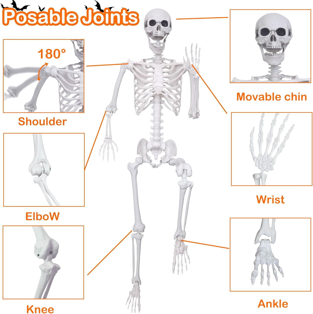 5.4ft/165cm Halloween Skeleton with Realistic Crows Full Body Plastic Human Bones with Movable Joints for Indoor Outdoor Halloween Decor