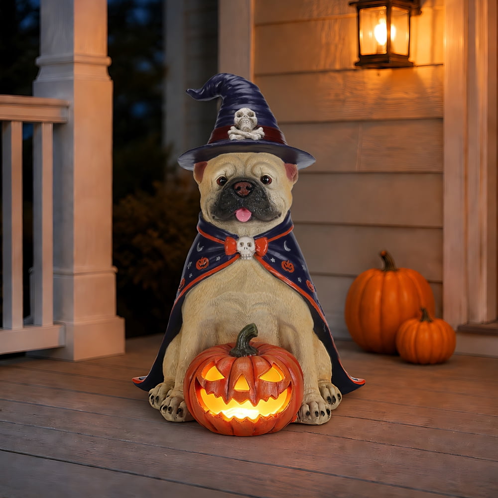 Halloween Bulldog Witch Statue, LED Light Up Jack-O-Lantern Pumpkin