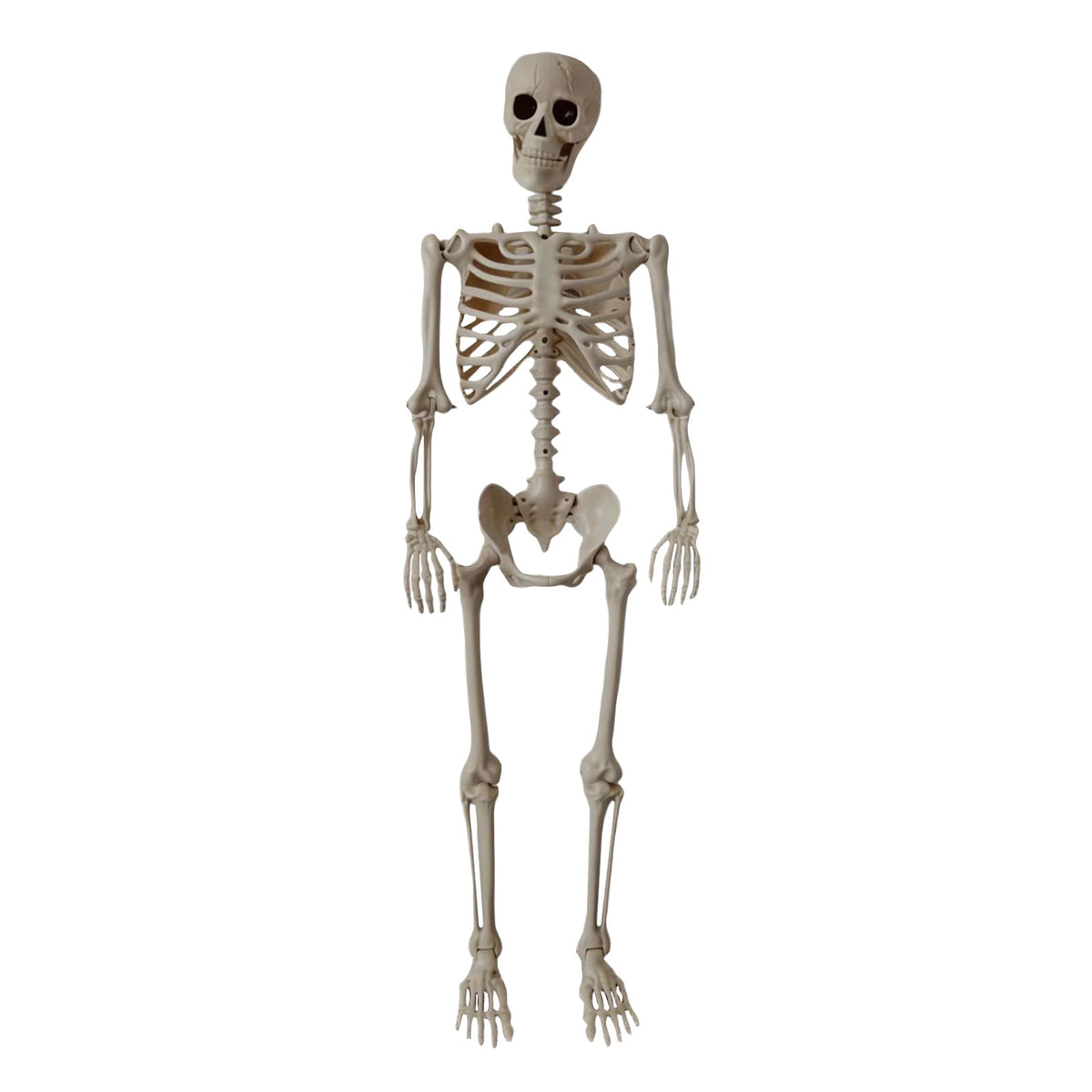 Halloween Skeleton Decorations, 53" Realistic Full Body Movable Posable Joints Skeleton, Creepy Halloween Skeleton for Graveyard Decorations, Haunted House Props Indoor/Outdoor Decor