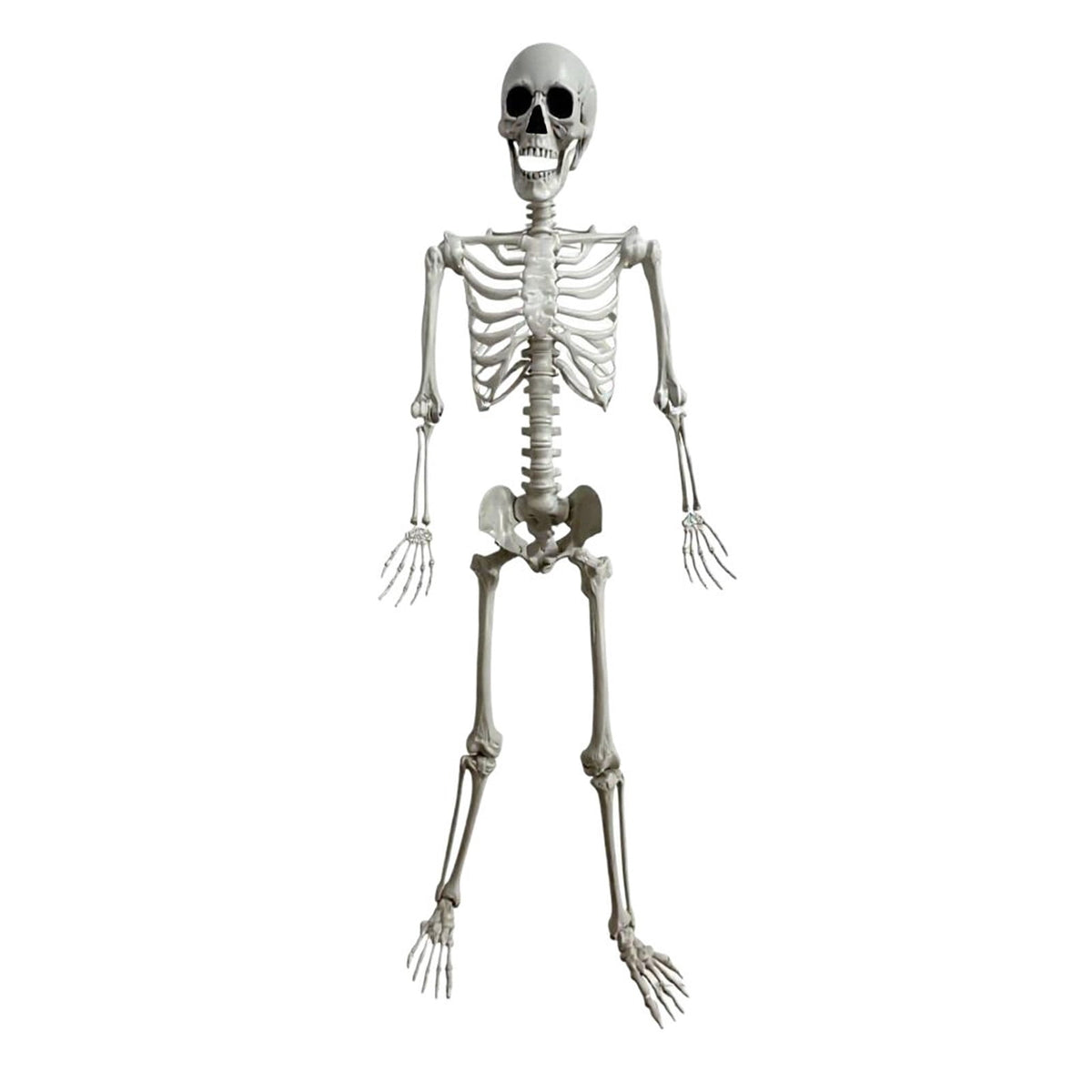 Halloween Simulation Skeleton Decoration, Realistic Skeleton Prop, Party House Yard Indoor Outdoor