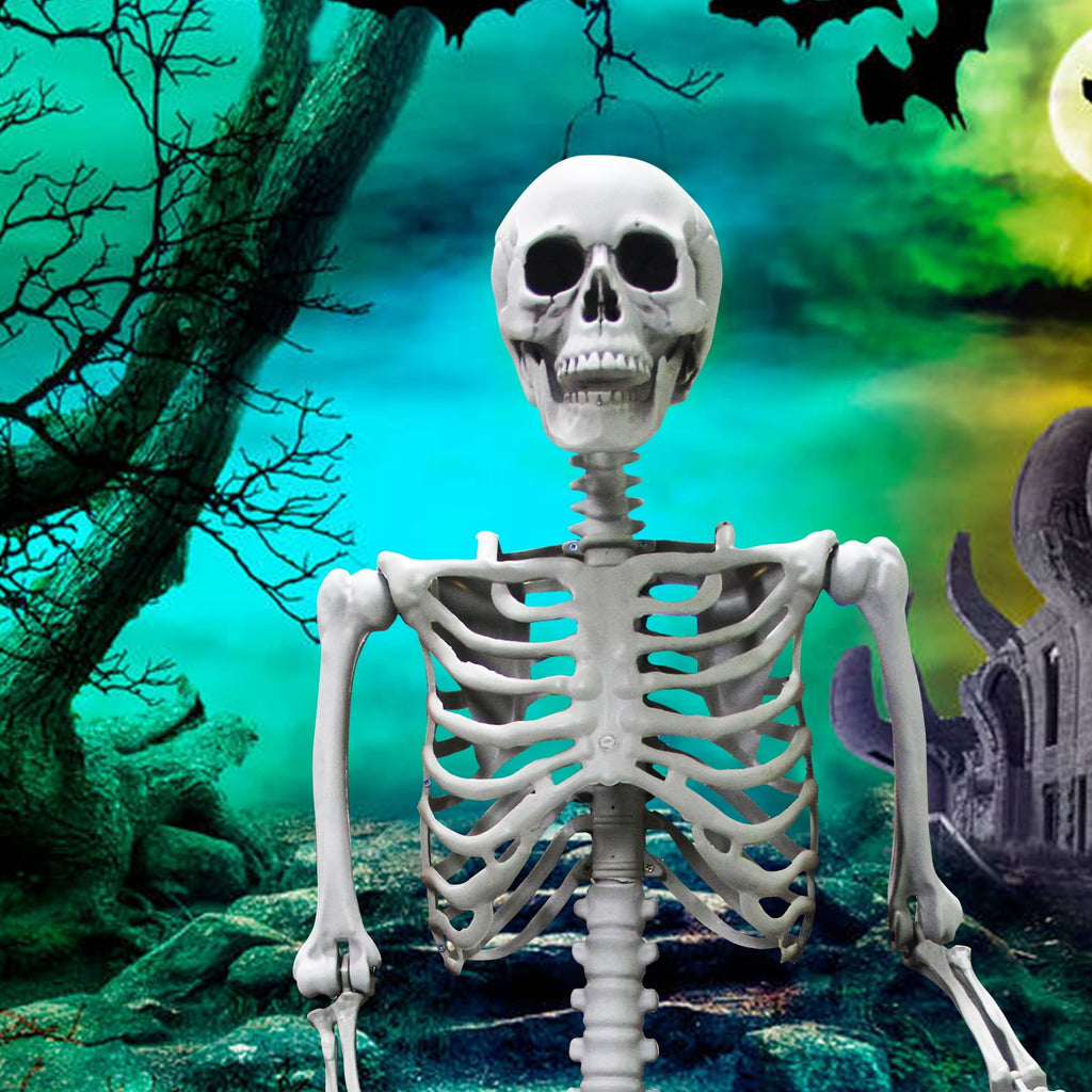 OZMI 5' 4" Tall Halloween Skeleton Decoration for Haunted House, 63 Inch Plastic Life Size Skull Skeleton for Halloween Party Haunted House Bar Yard Graveyard Decorations Party Supplies